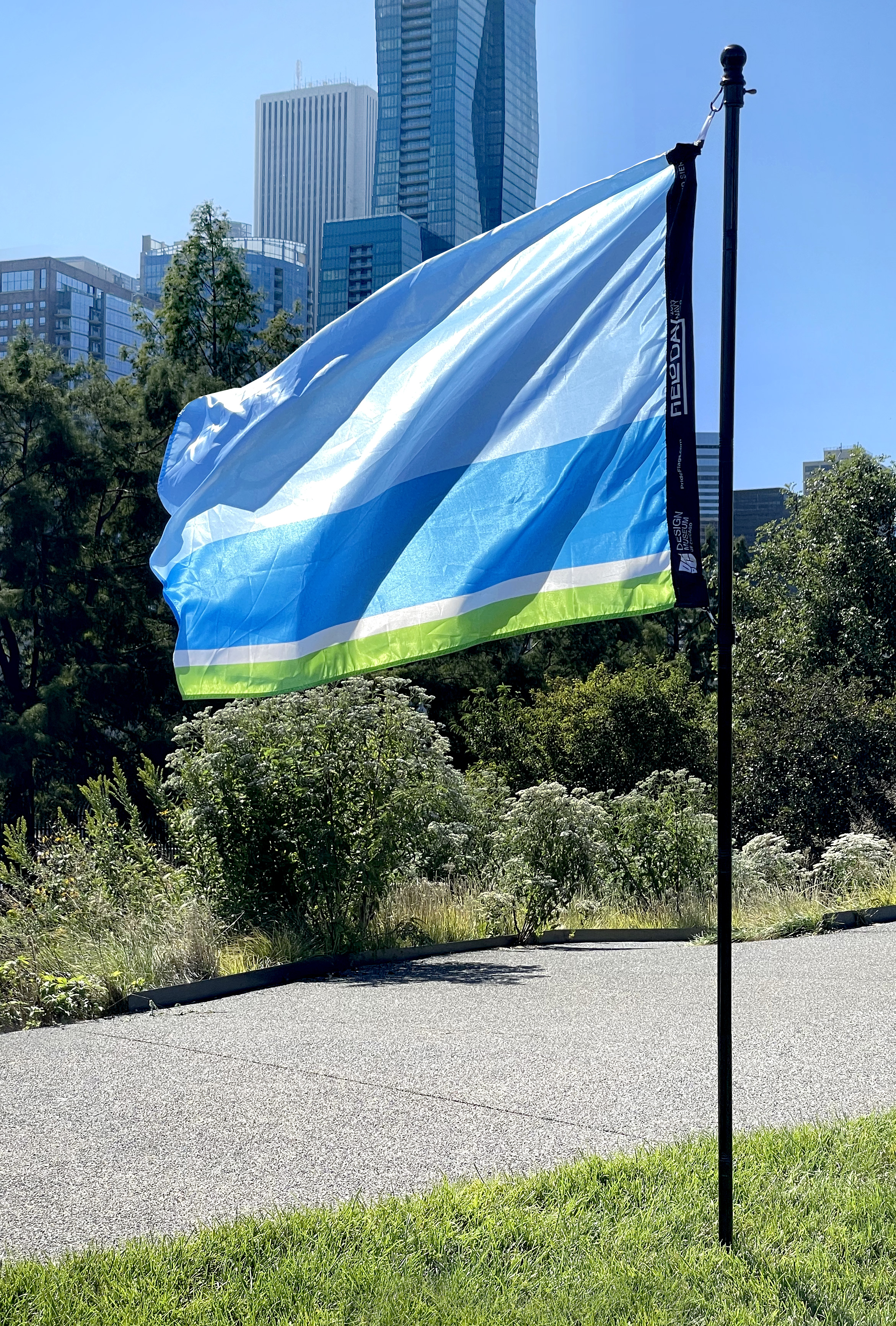 Lake Shore Commute Flag